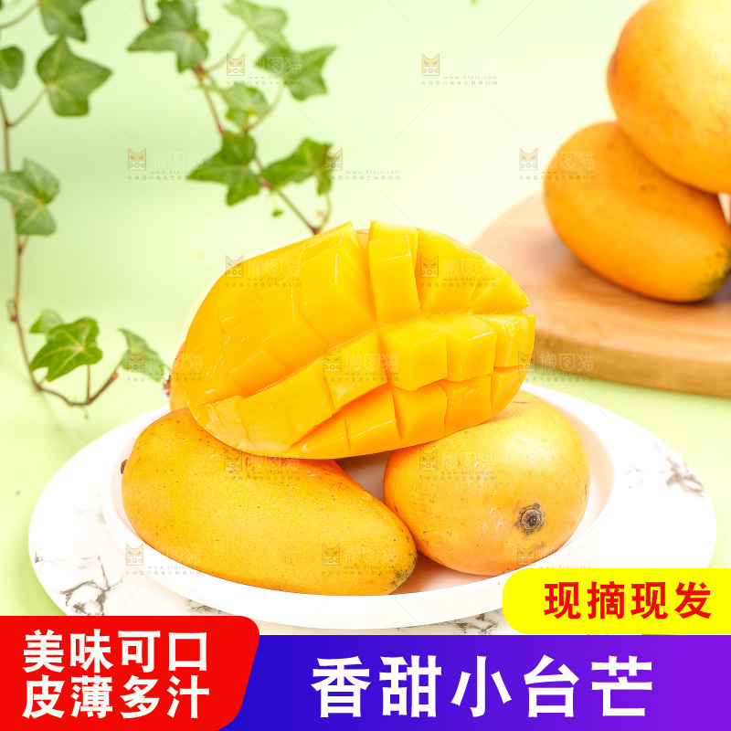 浅底上的小台芒