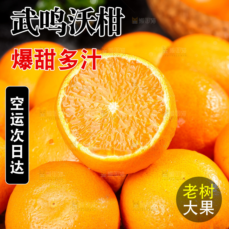 深底上的武鸣沃柑