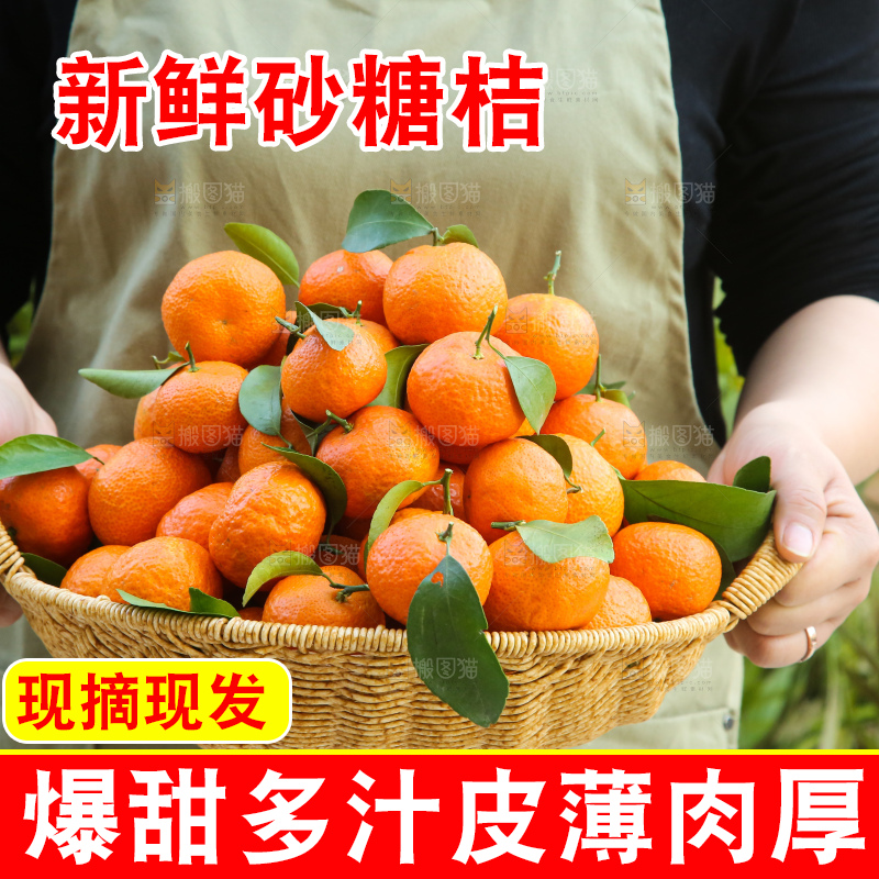 手里拿着沙糖橘