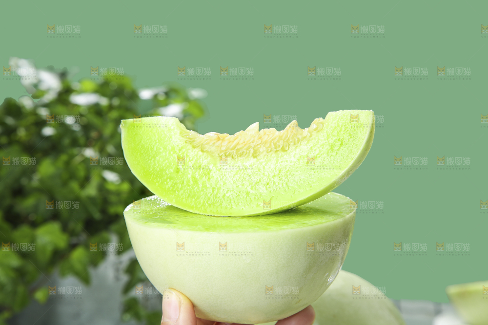 浅底上的玉菇甜瓜