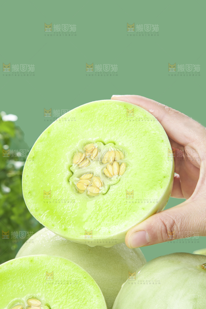 浅底上的玉菇甜瓜
