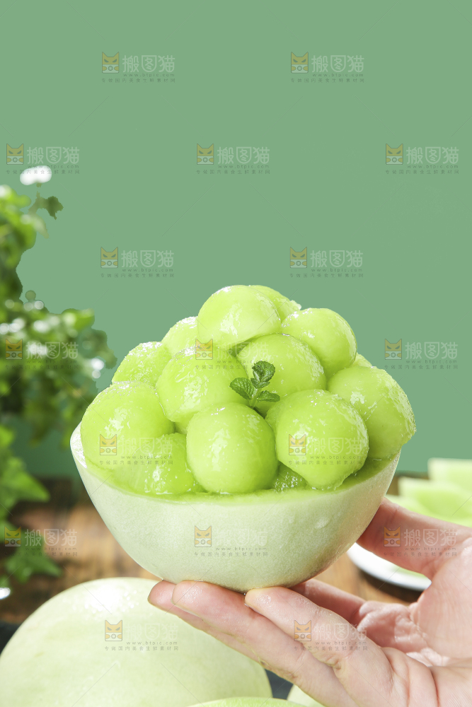 浅底上的玉菇甜瓜