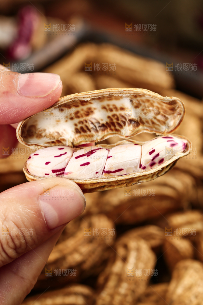 深底上的七彩花生
