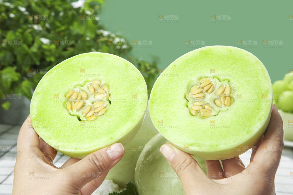 浅底上的玉菇甜瓜