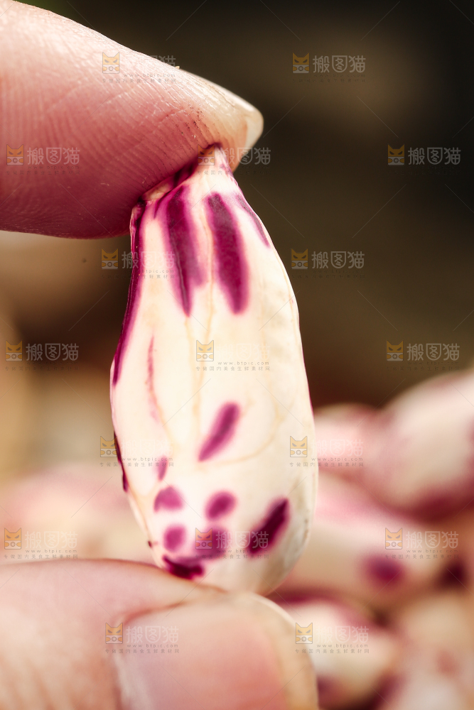 深底上的七彩花生
