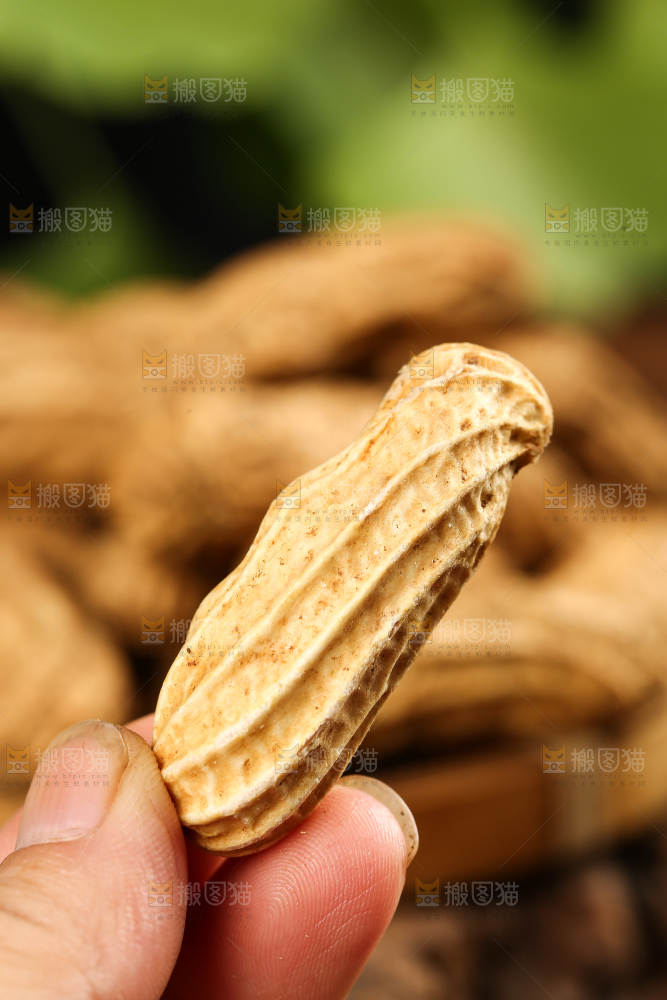 深底上的七彩花生