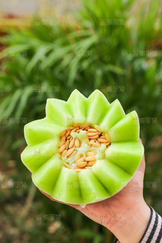 手里拿着玉菇甜瓜