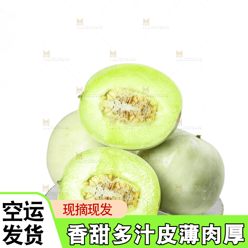 白底上的玉菇甜瓜