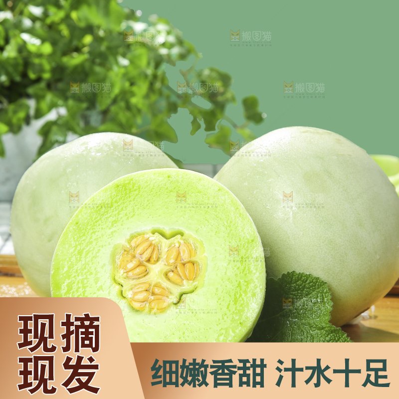 浅底上的玉菇甜瓜