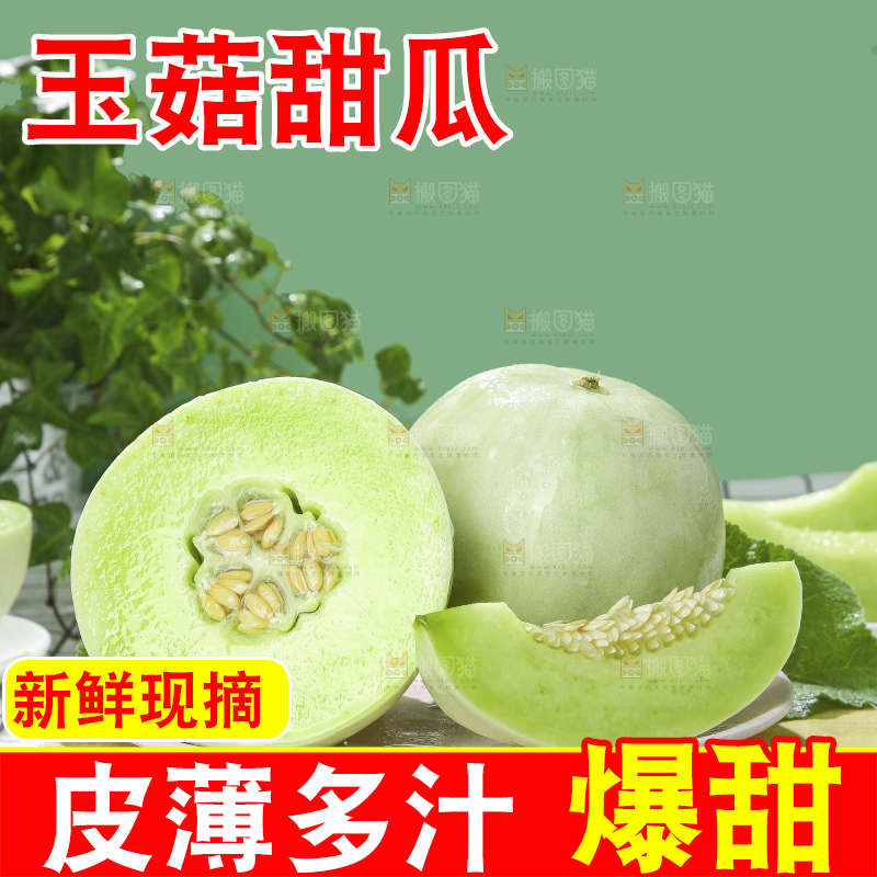 浅底上的玉菇甜瓜