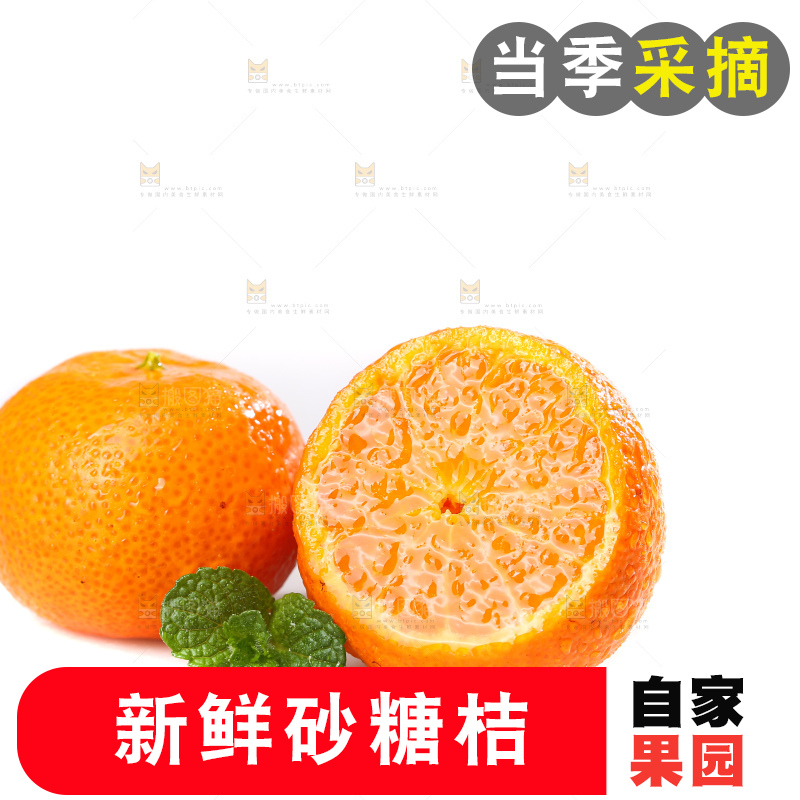 白底上的沙糖桔