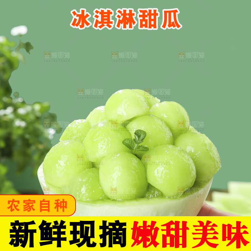 浅底上的玉菇甜瓜