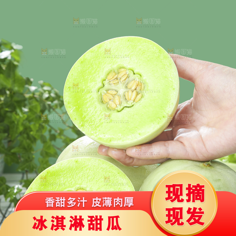 浅底上的玉菇甜瓜