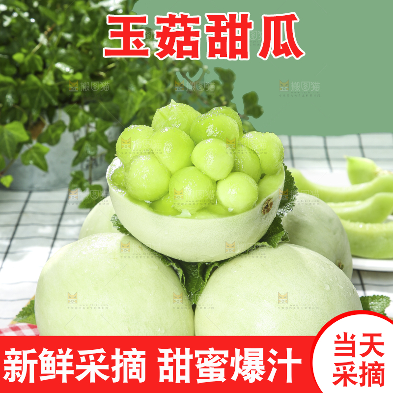浅底上的玉菇甜瓜
