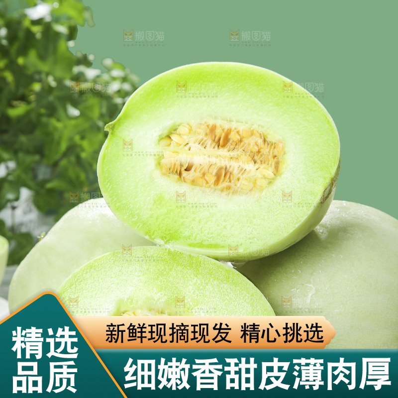 浅底上的玉菇甜瓜