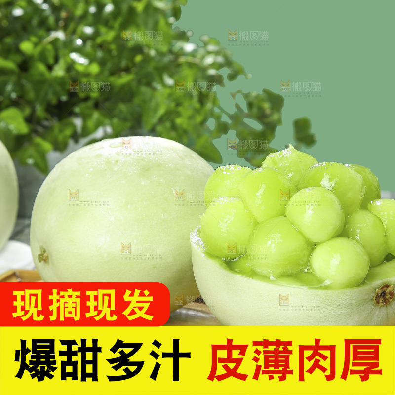 浅底上的玉菇甜瓜