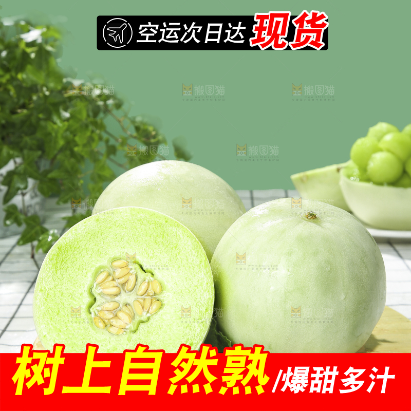 浅底上的玉菇甜瓜