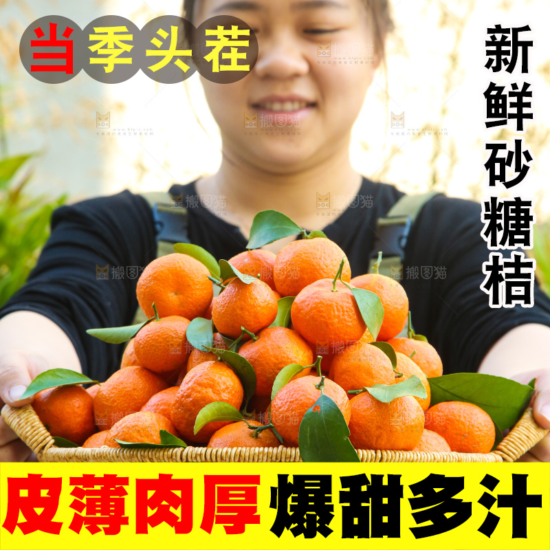 手里拿着沙糖橘