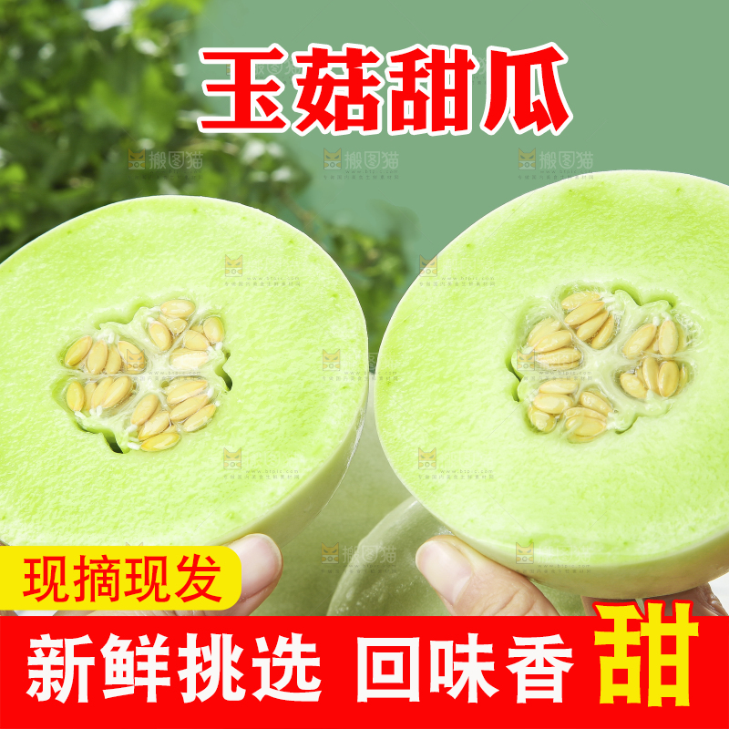 浅底上的玉菇甜瓜