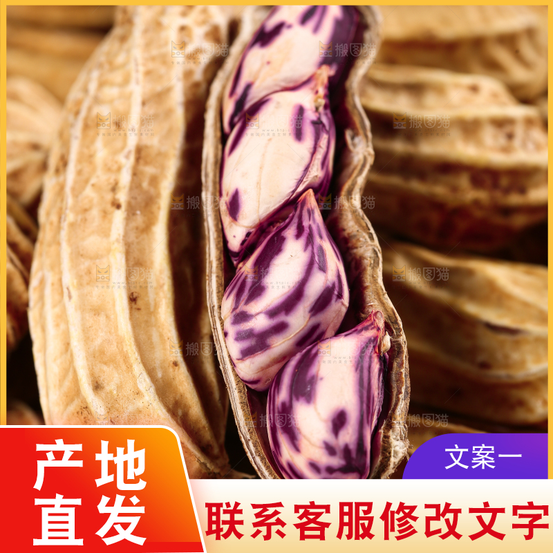 浅底上的七彩花生