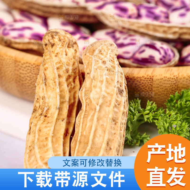 浅底上的七彩花生