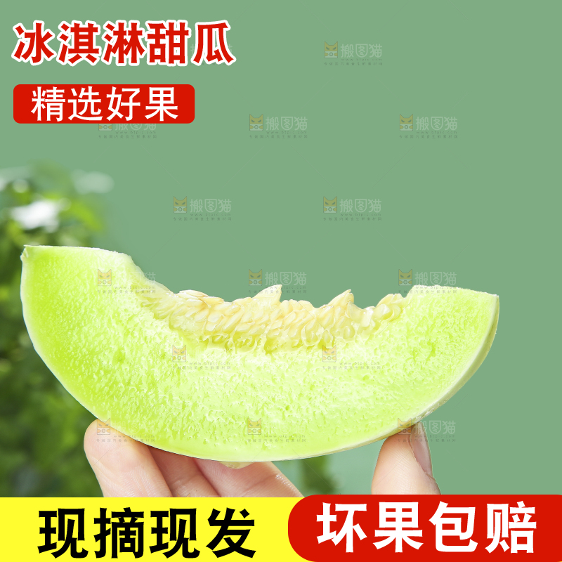 浅底上的玉菇甜瓜