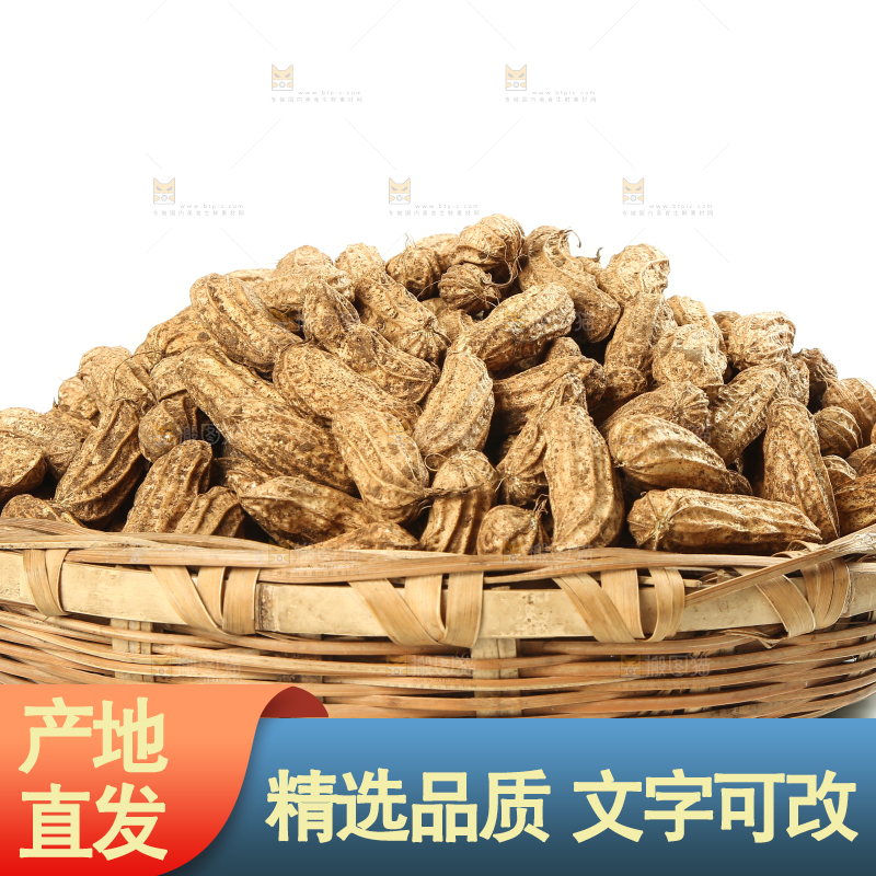 白底上的七彩花生