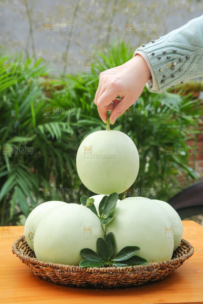 手里拿着玉菇甜瓜