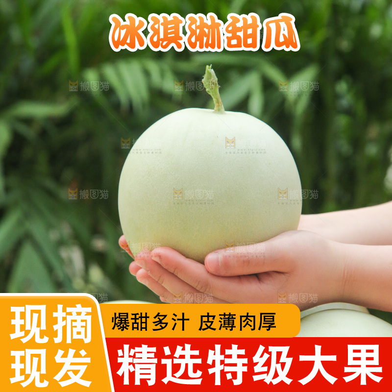 玉菇甜瓜主图