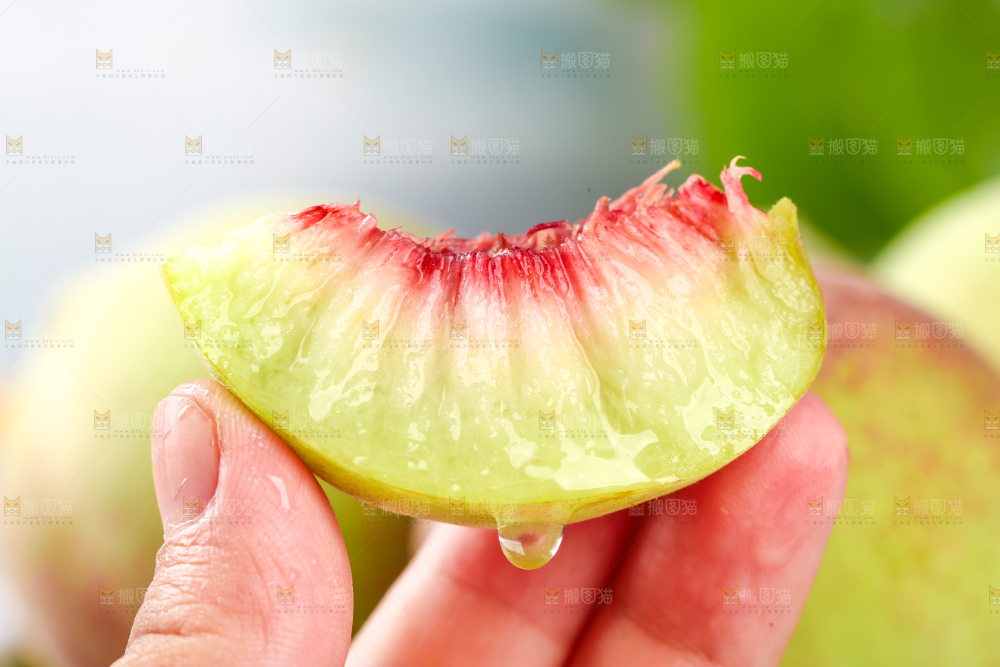 浅底上的青州蜜桃