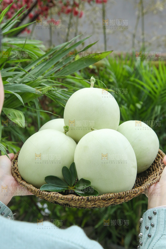 手里拿着玉菇甜瓜
