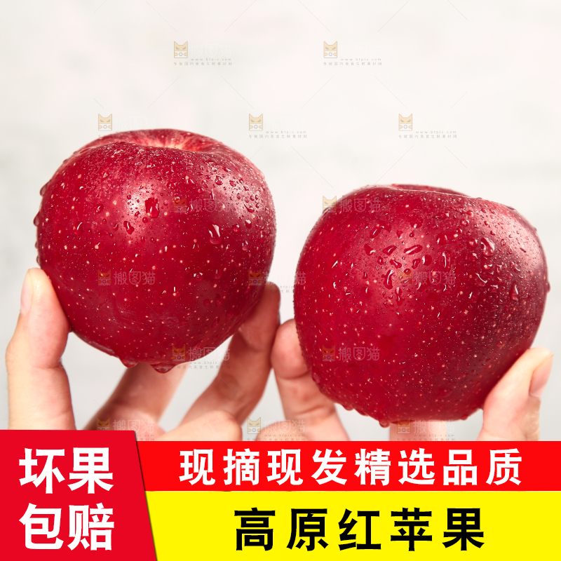 浅底上的秦冠苹果