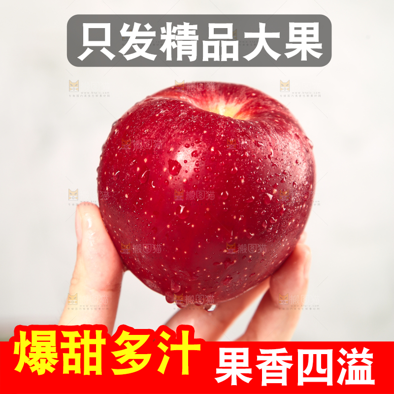 浅底上的秦冠苹果