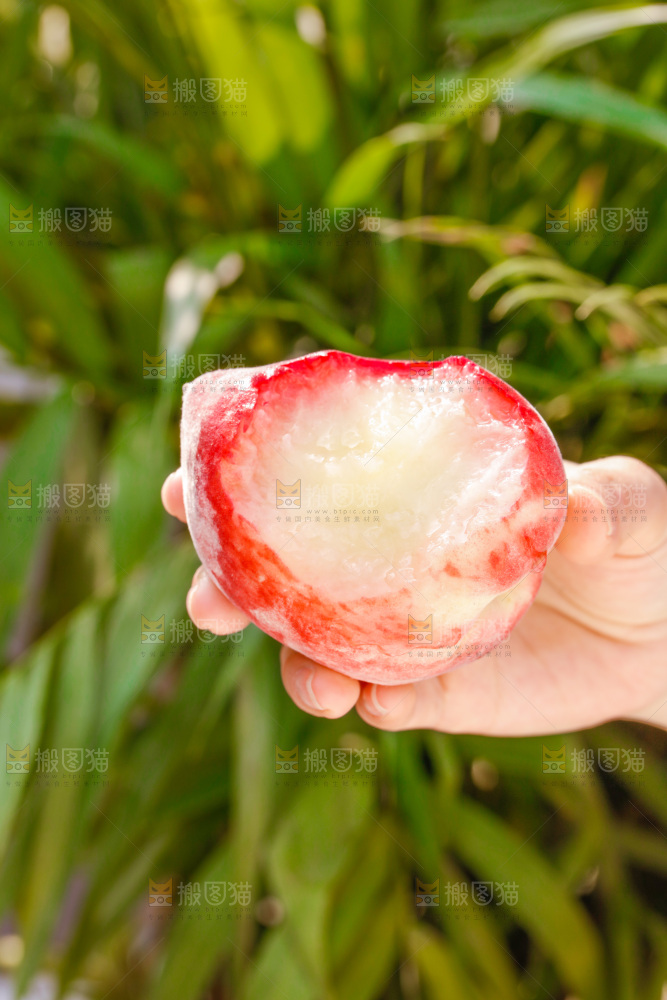 手里拿着春雪水蜜桃