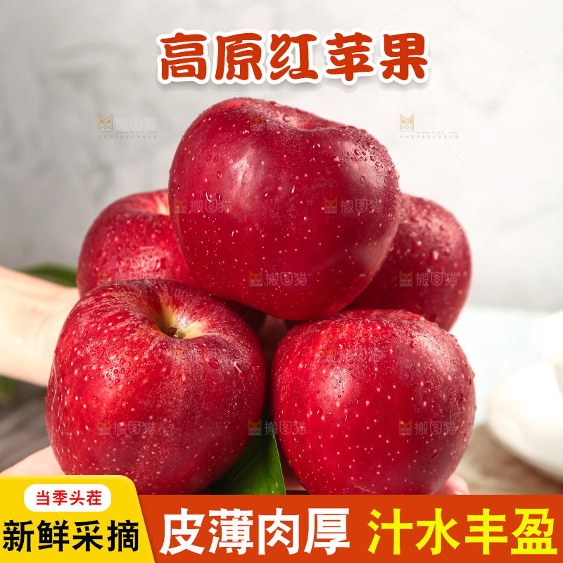 浅底上的秦冠苹果