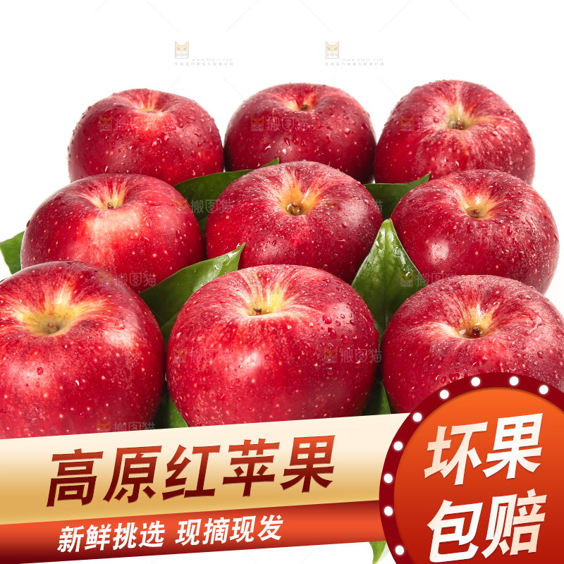 白底上的秦冠苹果