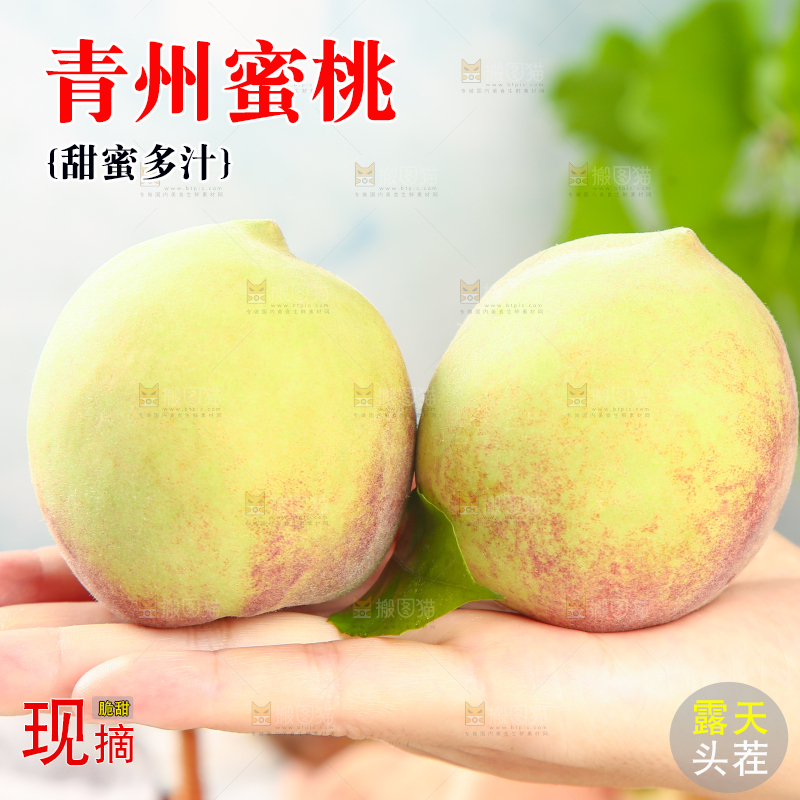 浅底上的青州蜜桃