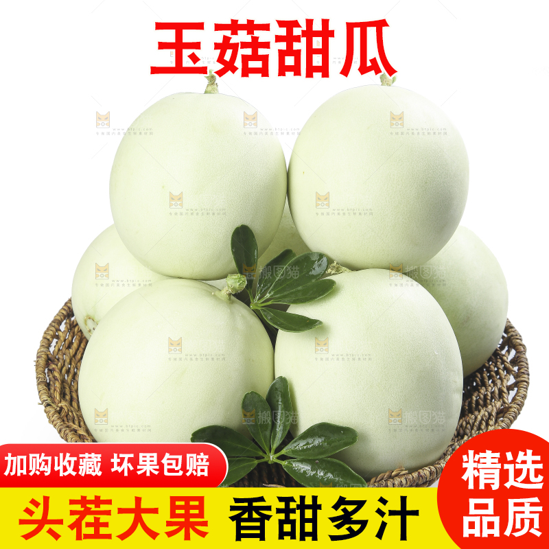 白底上的玉菇甜瓜