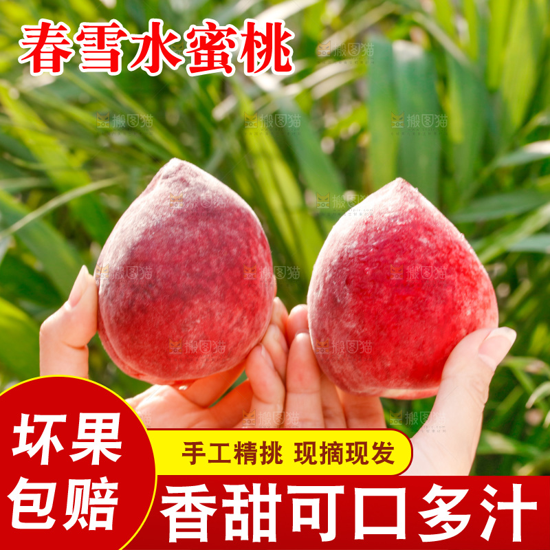 手里拿着春雪水蜜桃