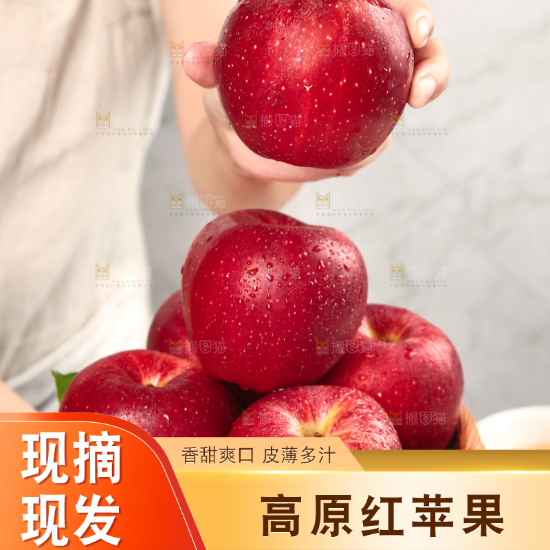 浅底上的秦冠苹果