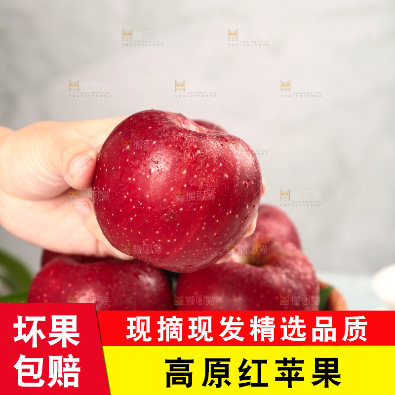 浅底上的秦冠苹果