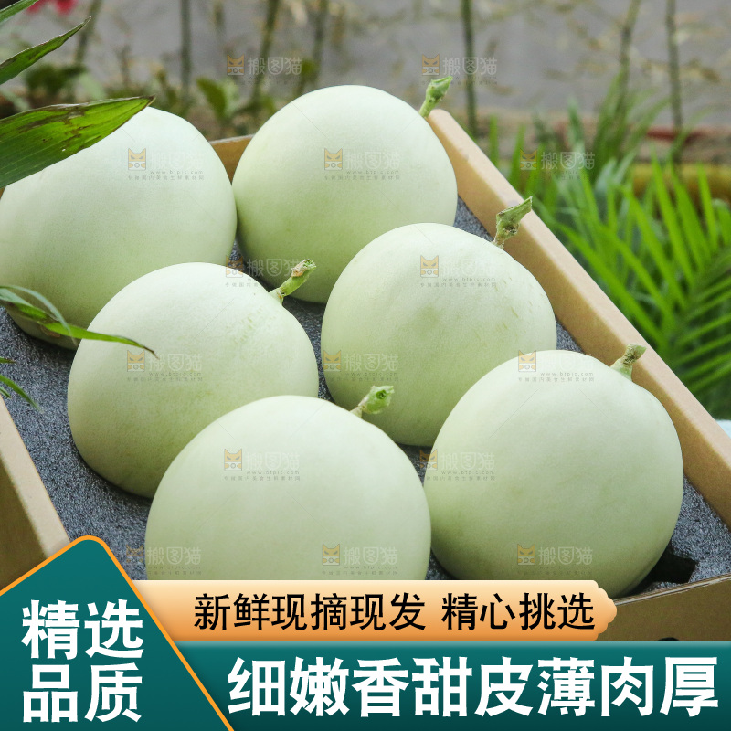 玉菇甜瓜主图