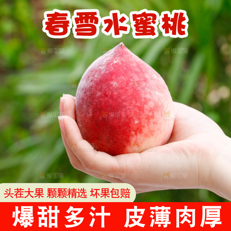 手里拿着春雪水蜜桃
