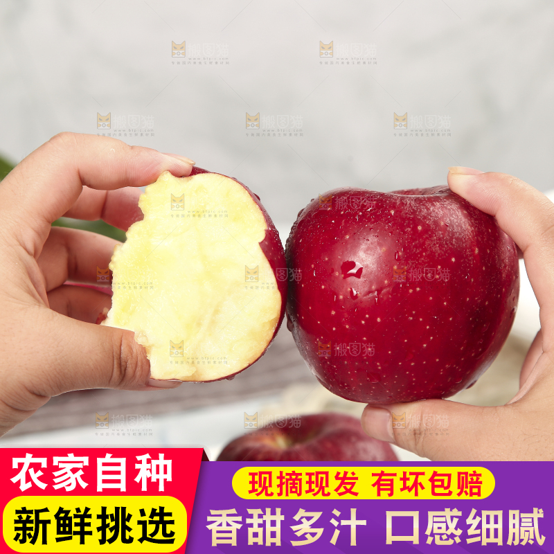 浅底上的秦冠苹果