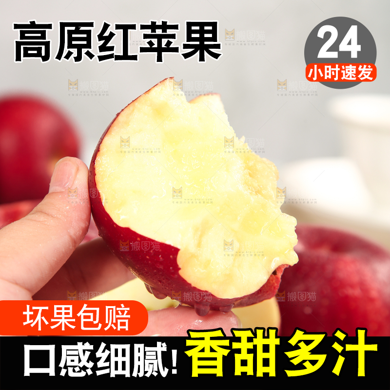 浅底上的秦冠苹果