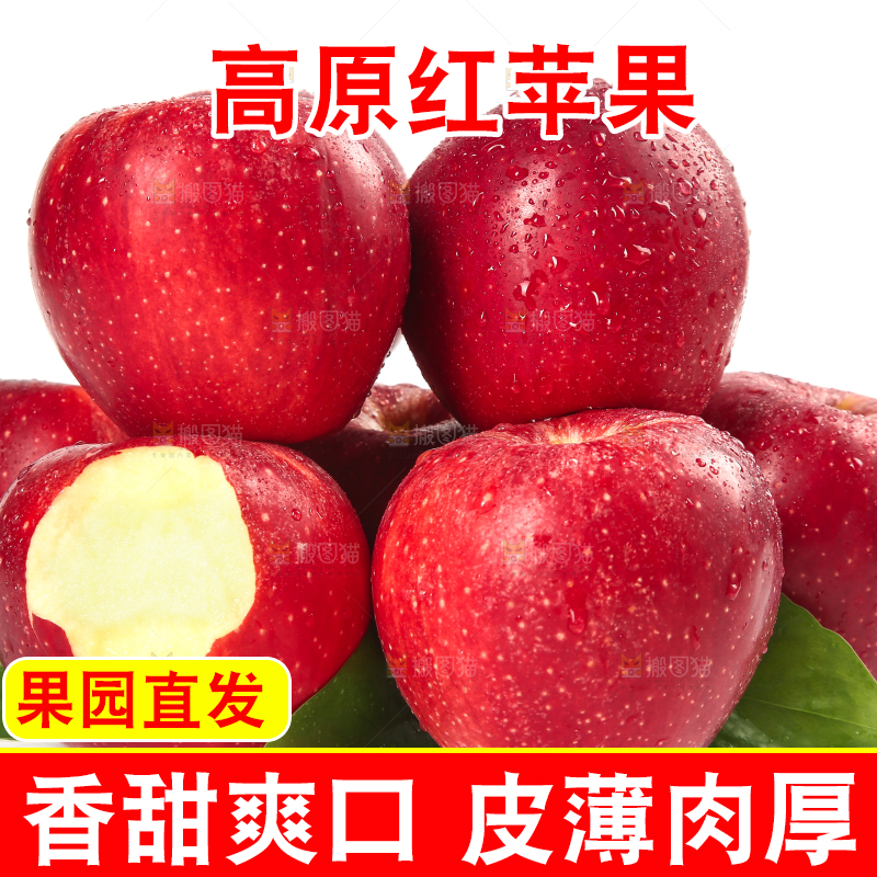 白底上的秦冠苹果