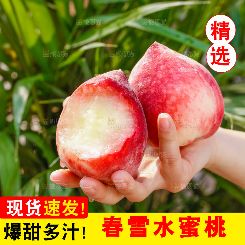 手里拿着春雪水蜜桃