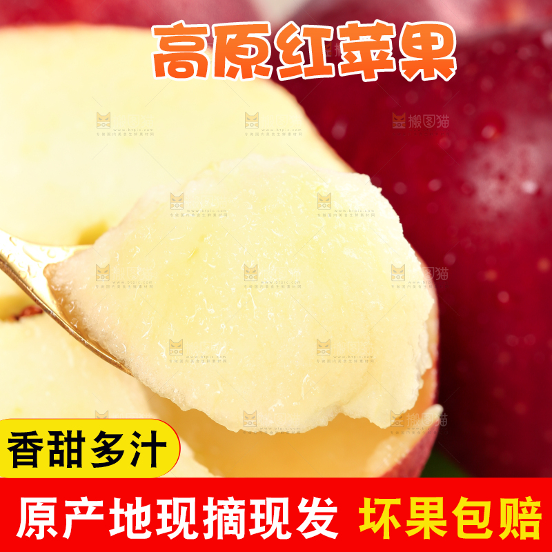 浅底上的秦冠苹果