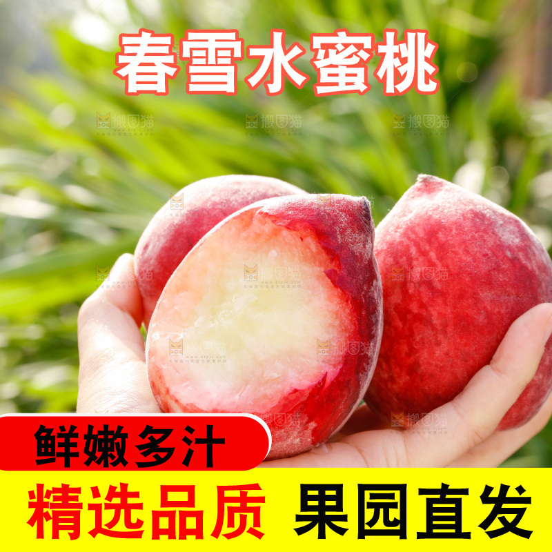 手里拿着春雪水蜜桃