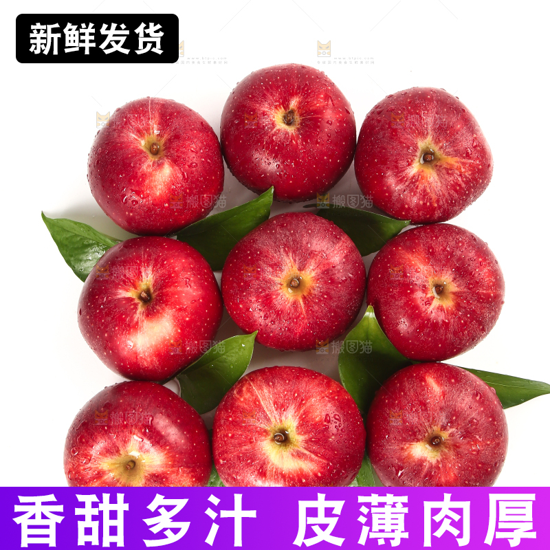 白底上的秦冠苹果